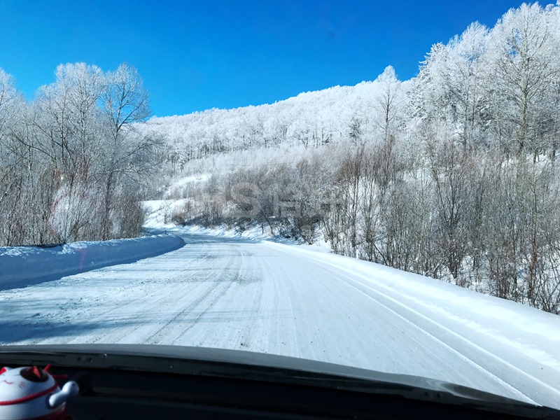 2018年的第一場(chǎng)雪，在北國(guó)雪山的恰好時(shí)綠卻生機(jī)盎然！